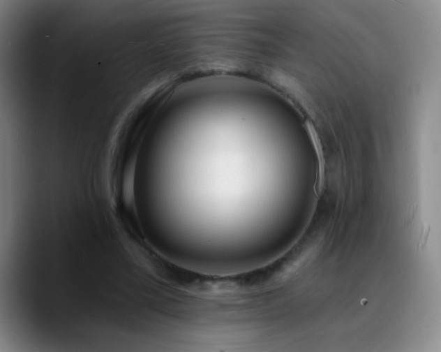 X0000090750395200707201454