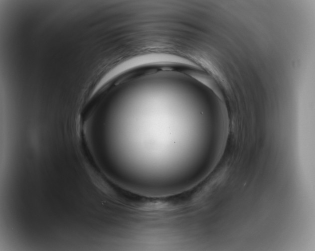 X0000090750397200707201453