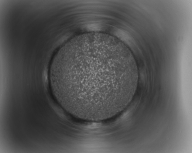 X0000090750398200707201453