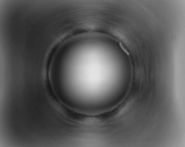 X0000090750399200707201453