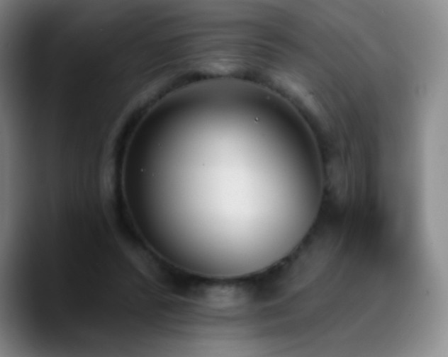 X0000090750400200707201453