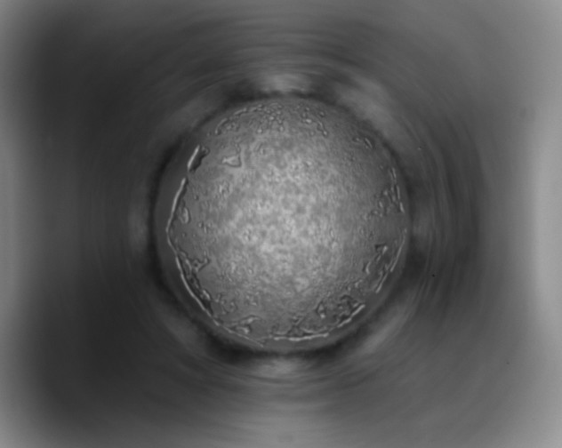 X0000090750402200707201453