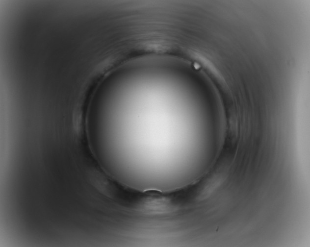 X0000090750403200707201453