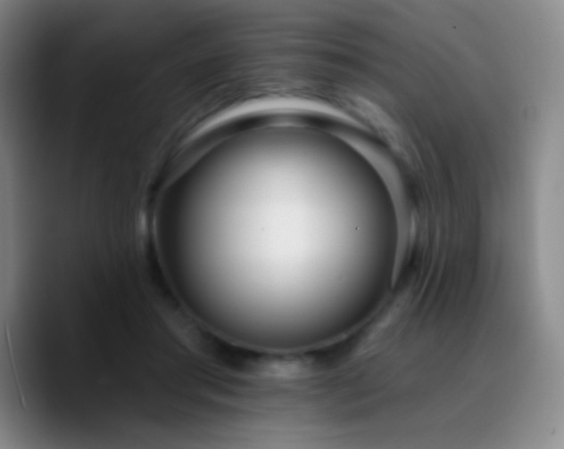 X0000090750405200707201453