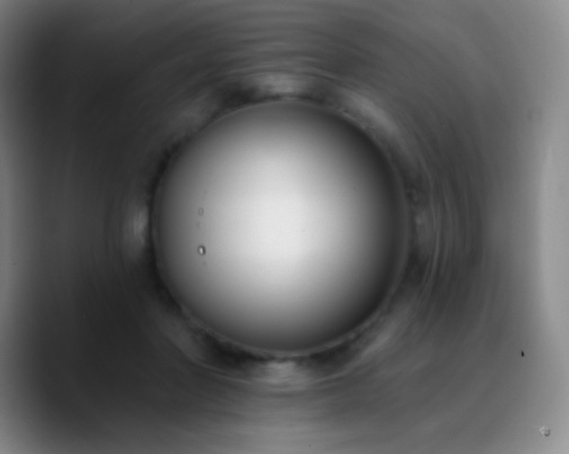 X0000090750406200707201453