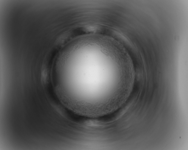 X0000090750408200707201453