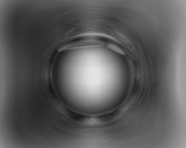 X0000090750409200707201453