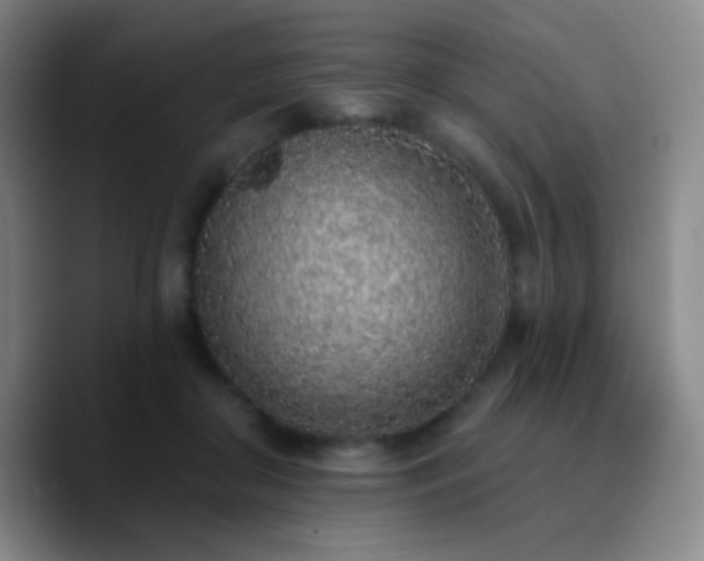 X0000090750410200707201453