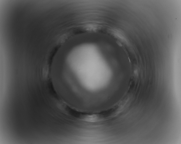 X0000090750411200707201453