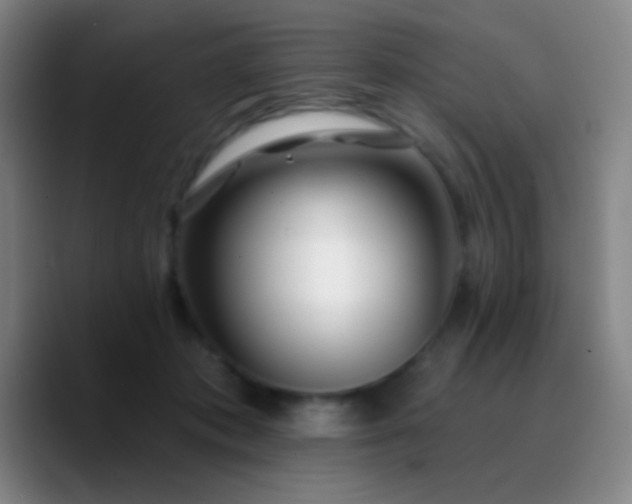 X0000090750413200707201453