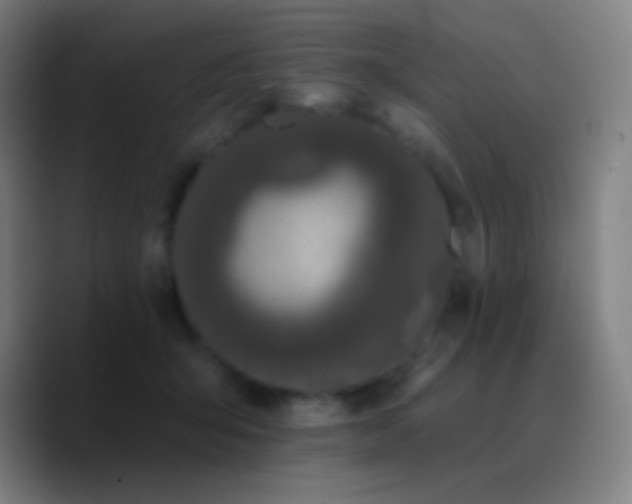 X0000090750415200707201453