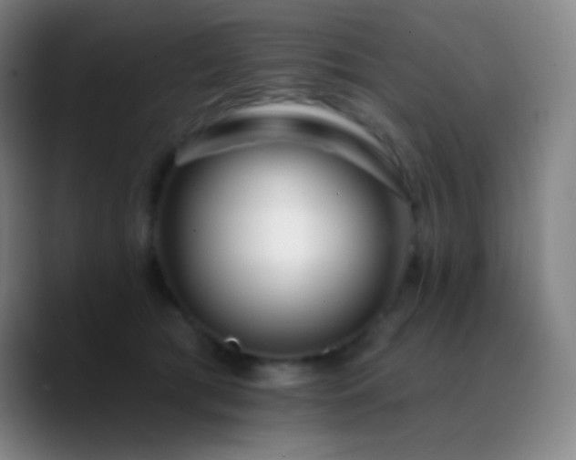 X0000090750417200707201453