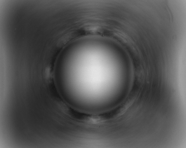 X0000090750420200707201453