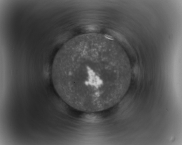 X0000090750423200707201453
