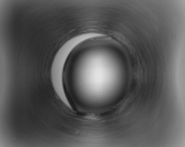 X0000090750425200707201453