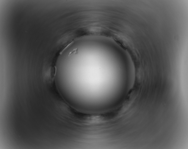 X0000090750428200707201453