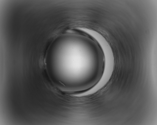 X0000090750429200707201453