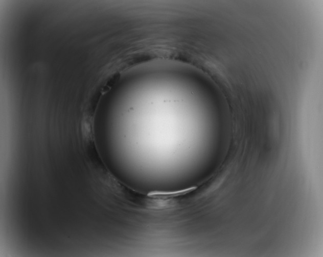 X0000090750432200707201453