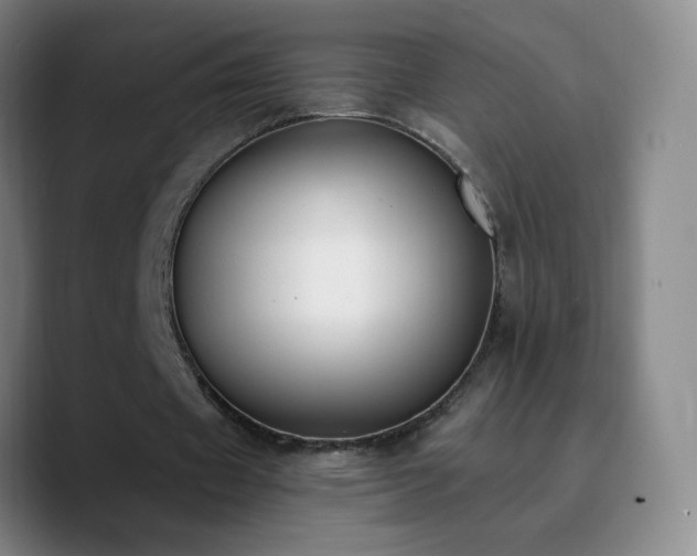 X0000090750433200707201452