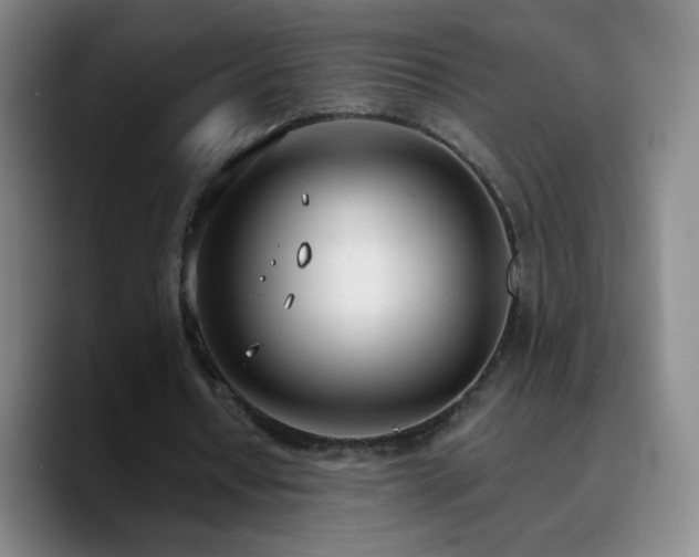 X0000090750434200707201452