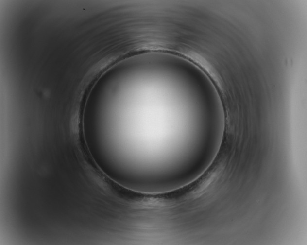 X0000090750437200707201452