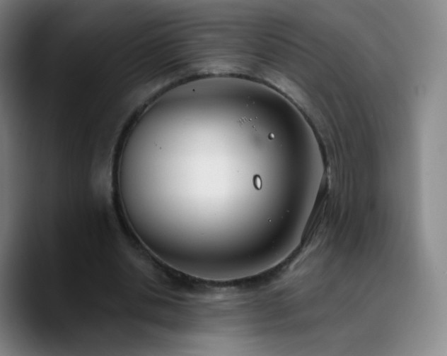 X0000090750438200707201452
