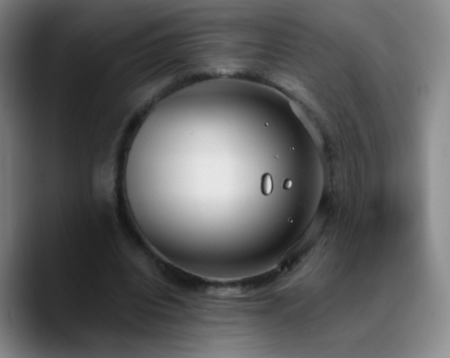 X0000090750440200707201452