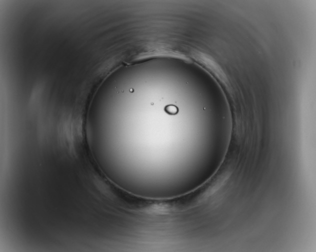 X0000090750441200707201453