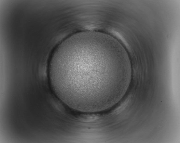 X0000090750443200707201453