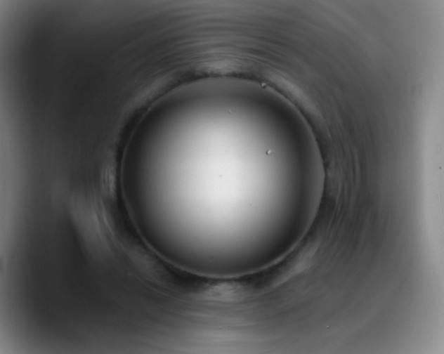 X0000090750446200707201453
