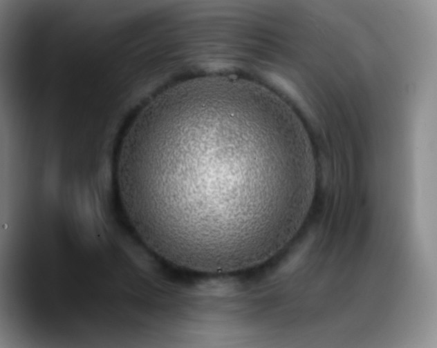 X0000090750447200707201453