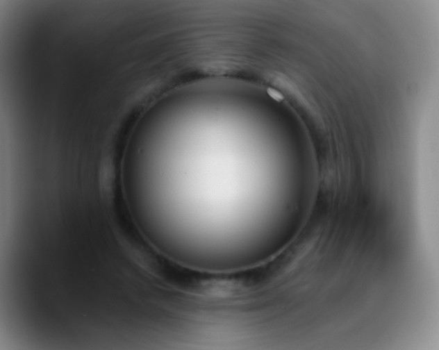 X0000090750448200707201453