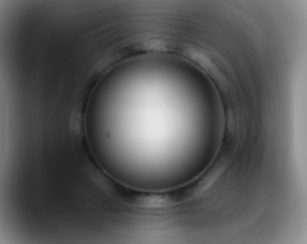 X0000090750449200707201453