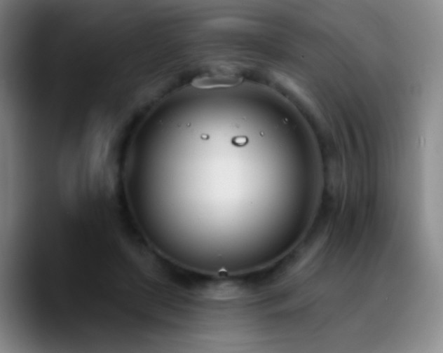 X0000090750451200707201453