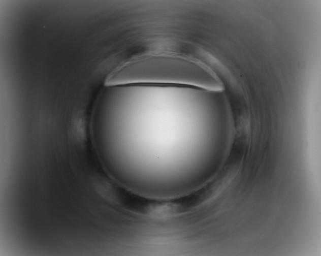 X0000090750452200707201453