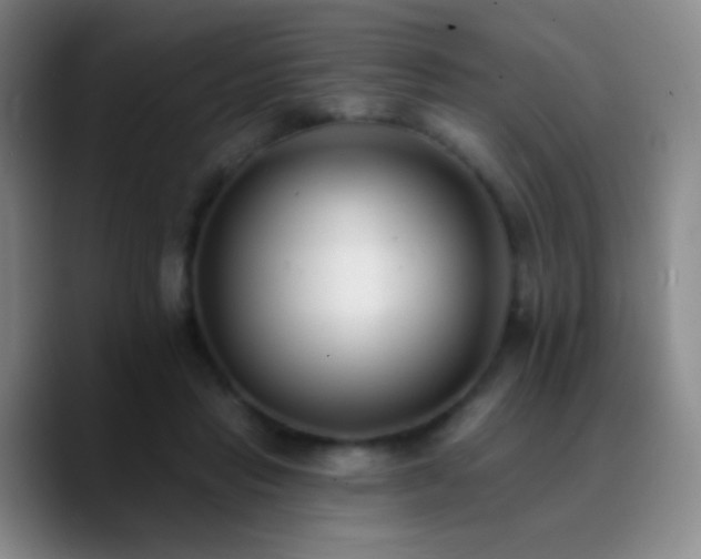 X0000090750453200707201453