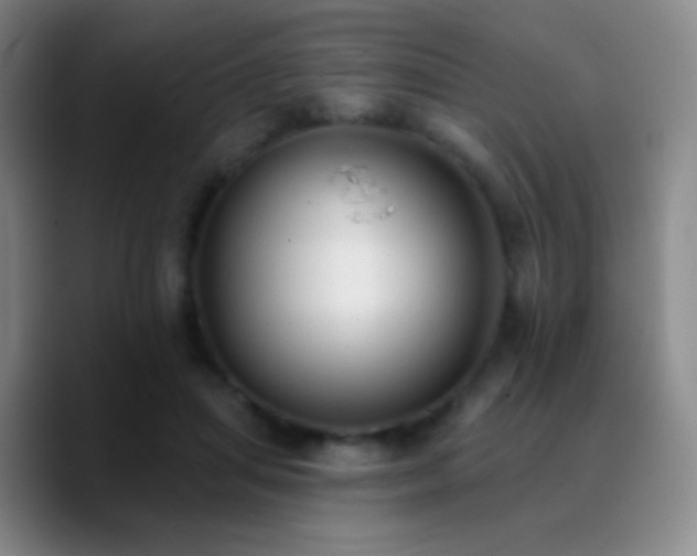 X0000090750455200707201453