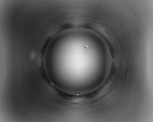 X0000090750458200707201453