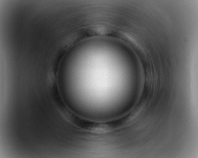 X0000090750459200707201453
