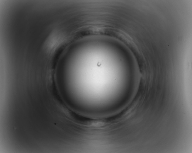 X0000090750462200707201453