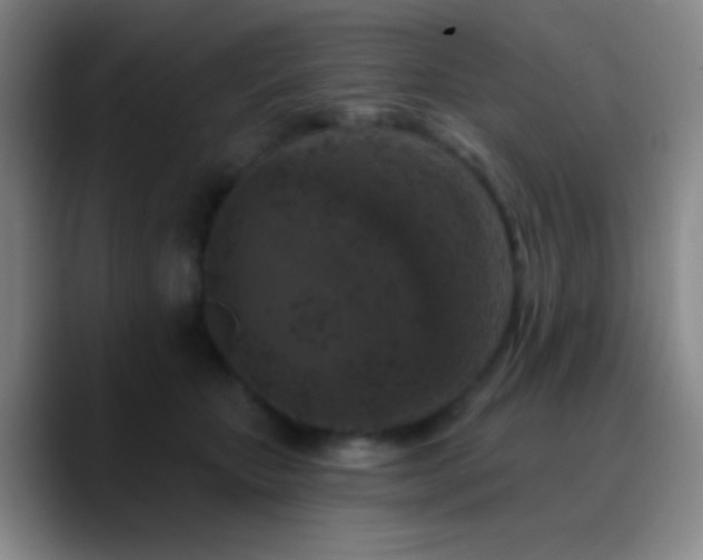 X0000090750467200707201453