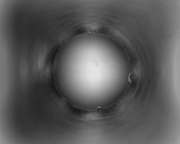 X0000090750468200707201453