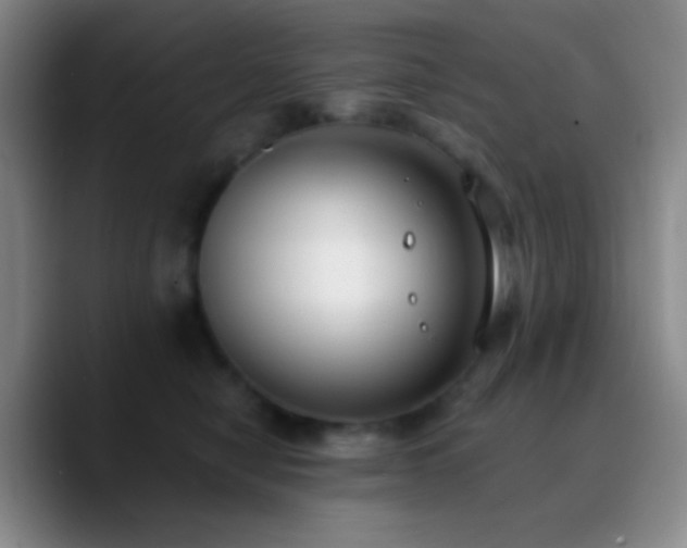 X0000090750470200707201453