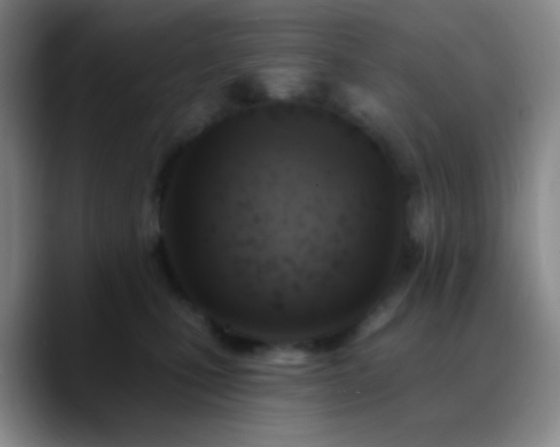 X0000090750471200707201453