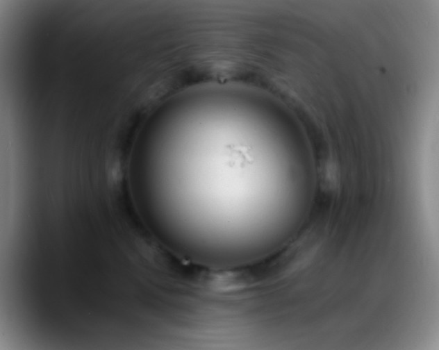 X0000090750472200707201453