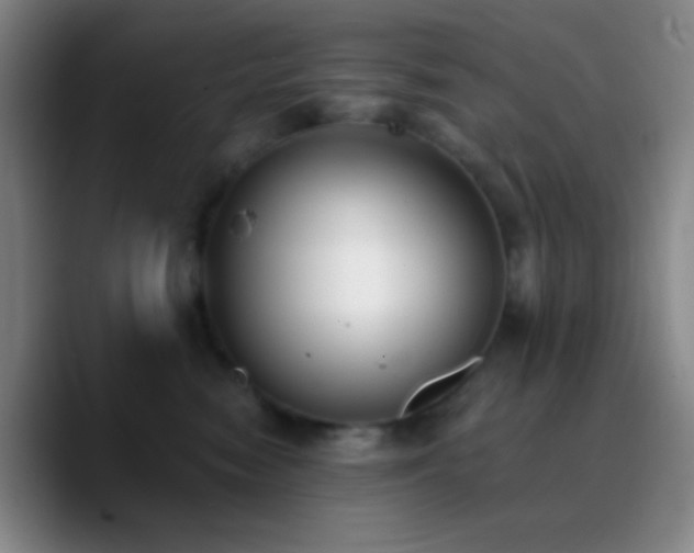 X0000090750474200707201453
