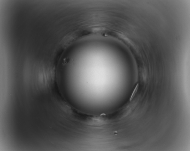 X0000090750475200707201453