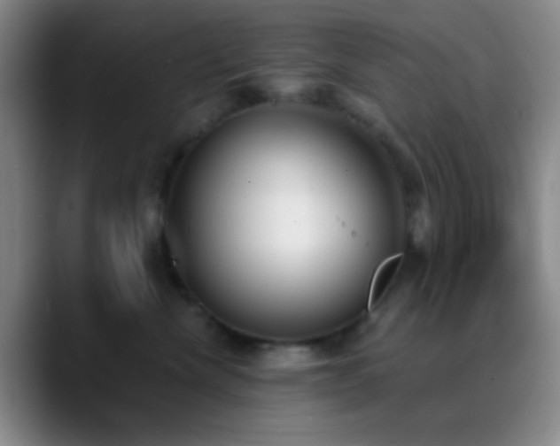 X0000090750476200707201453
