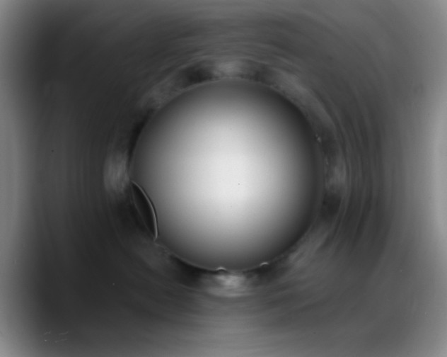 X0000090750478200707201453