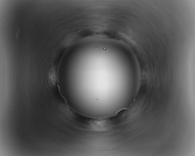 X0000090750479200707201453
